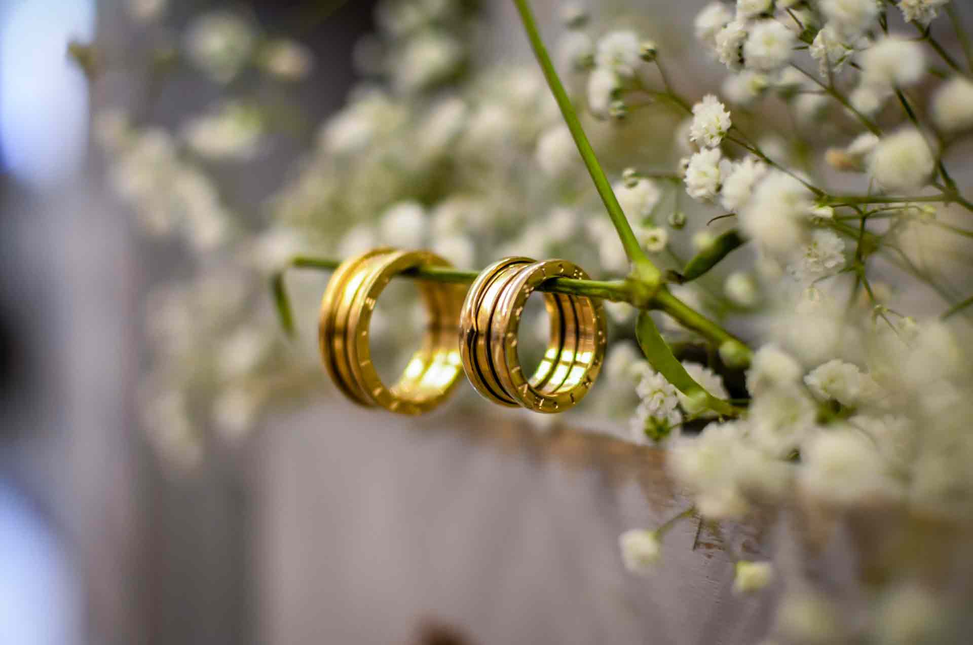 Wedding rings on flower stem - Pre-nup Lawyer