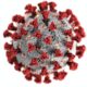 coronavirus graphic from CDC